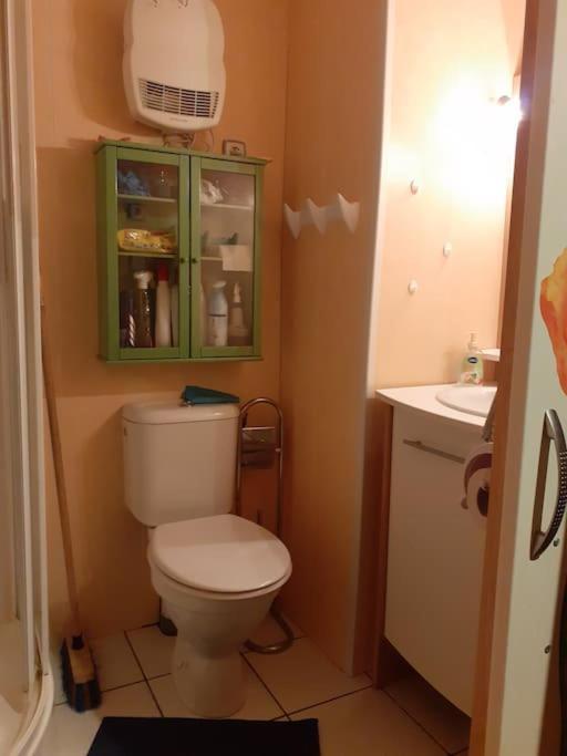 Appartement Face Au Thermes Et Au Calme Bagneres-de-Luchon Bagian luar foto